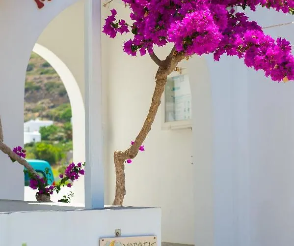 Morpheas Sifnos Gæstehus Kamárai