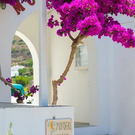 Morpheas Sifnos Gasthuis Kamarai