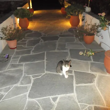 Morpheas Sifnos