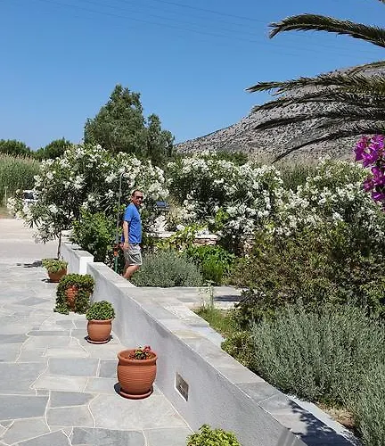 Morpheas Accommodation Sifnos Guest house